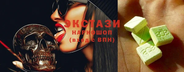 гидра Богданович