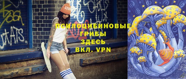 твердый Богородицк