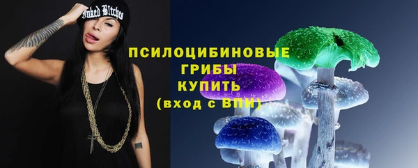 амф Белокуриха