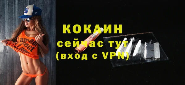 гидра Богданович