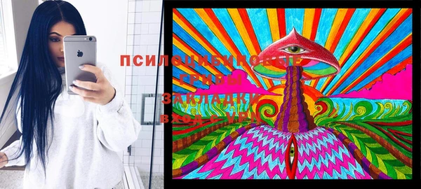 амф Белокуриха