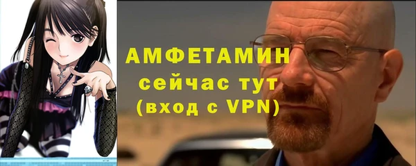 гидра Богданович