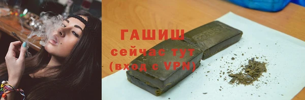 гидра Богданович