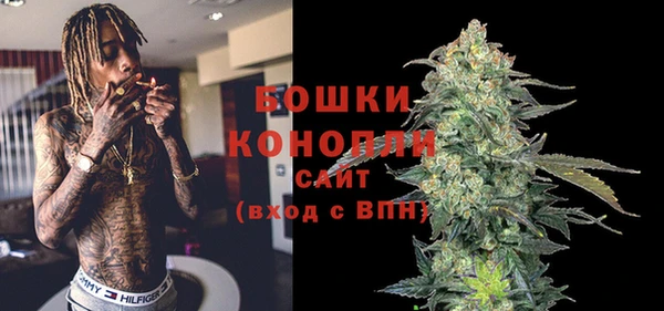 сатива Балахна