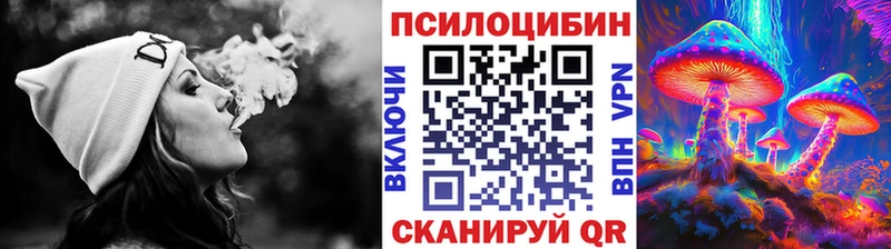 Псилоцибиновые грибы мицелий  Лыткарино 